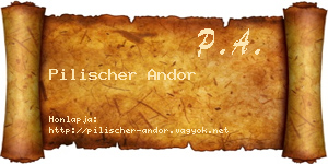 Pilischer Andor névjegykártya