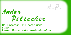 andor pilischer business card